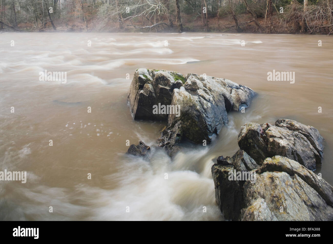 HAW River, Haw River State Park, Pittsboro, North Carolina, USA Stockfoto