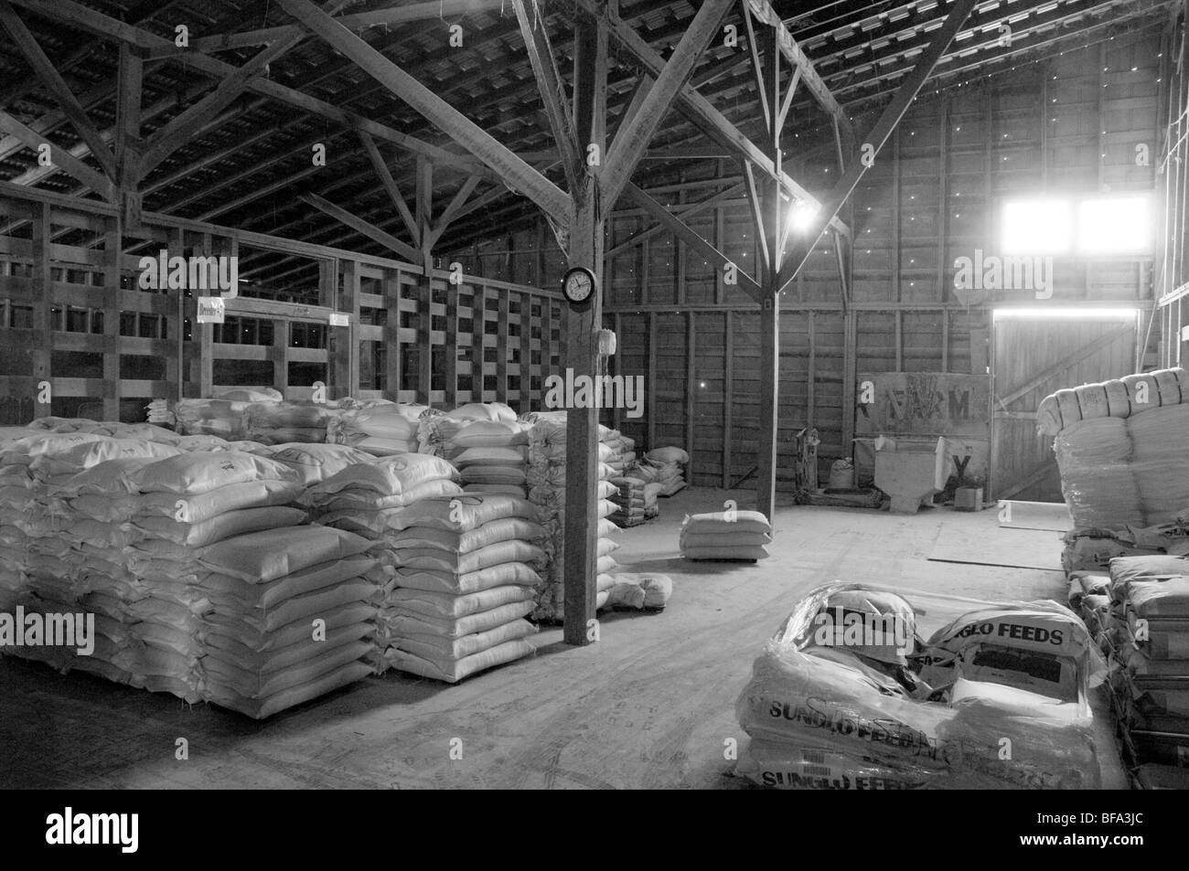 Arbeiter in Futtermühle Stockfoto