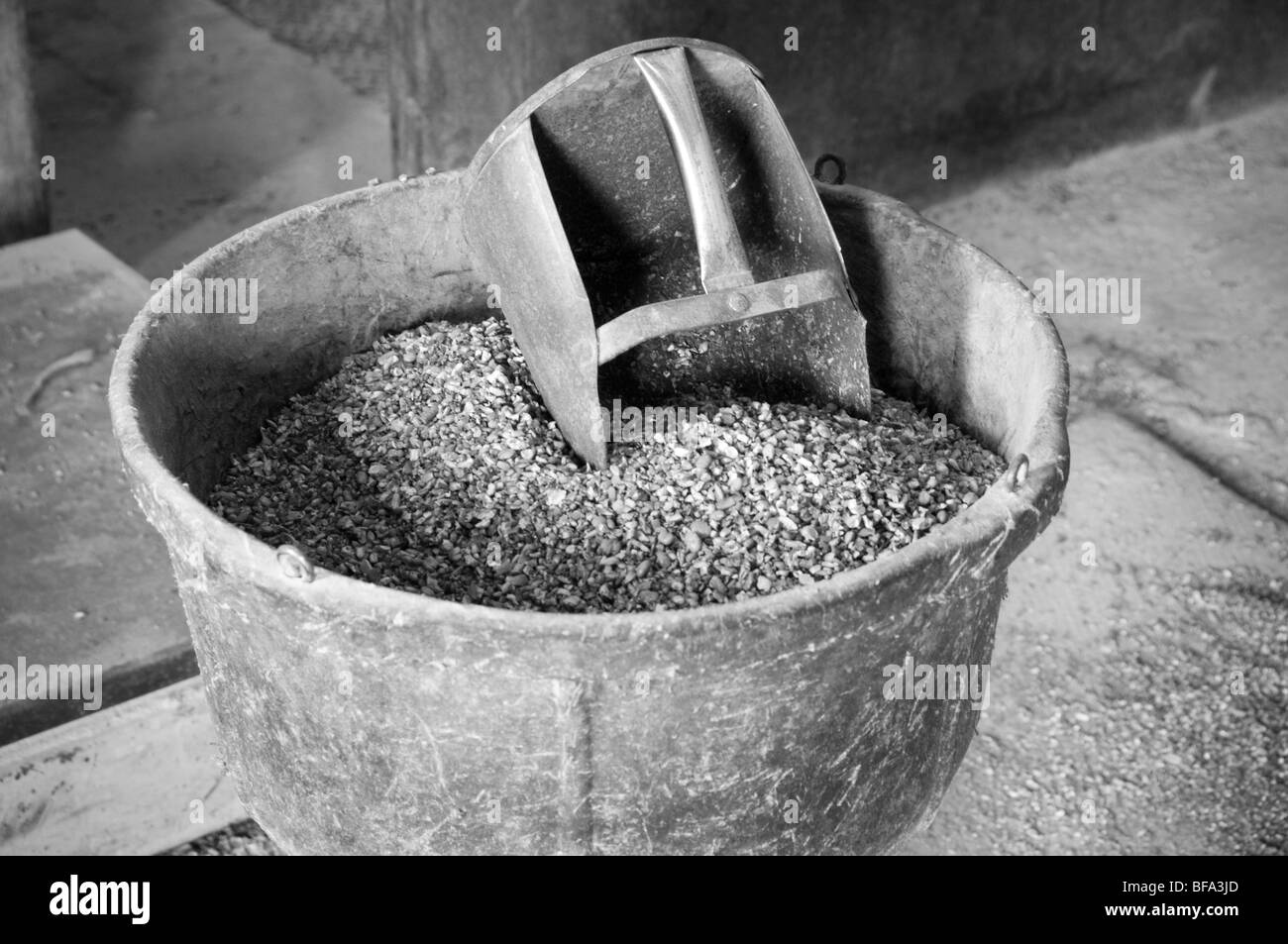 Arbeiter in Futtermühle Stockfoto