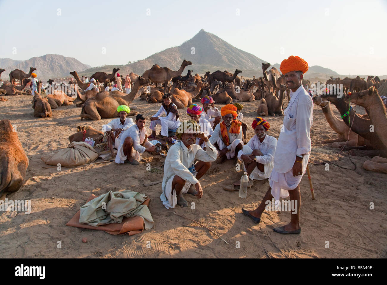 Rajput Männer und Kamele auf der Camel Fair in Pushkar Indien Stockfoto