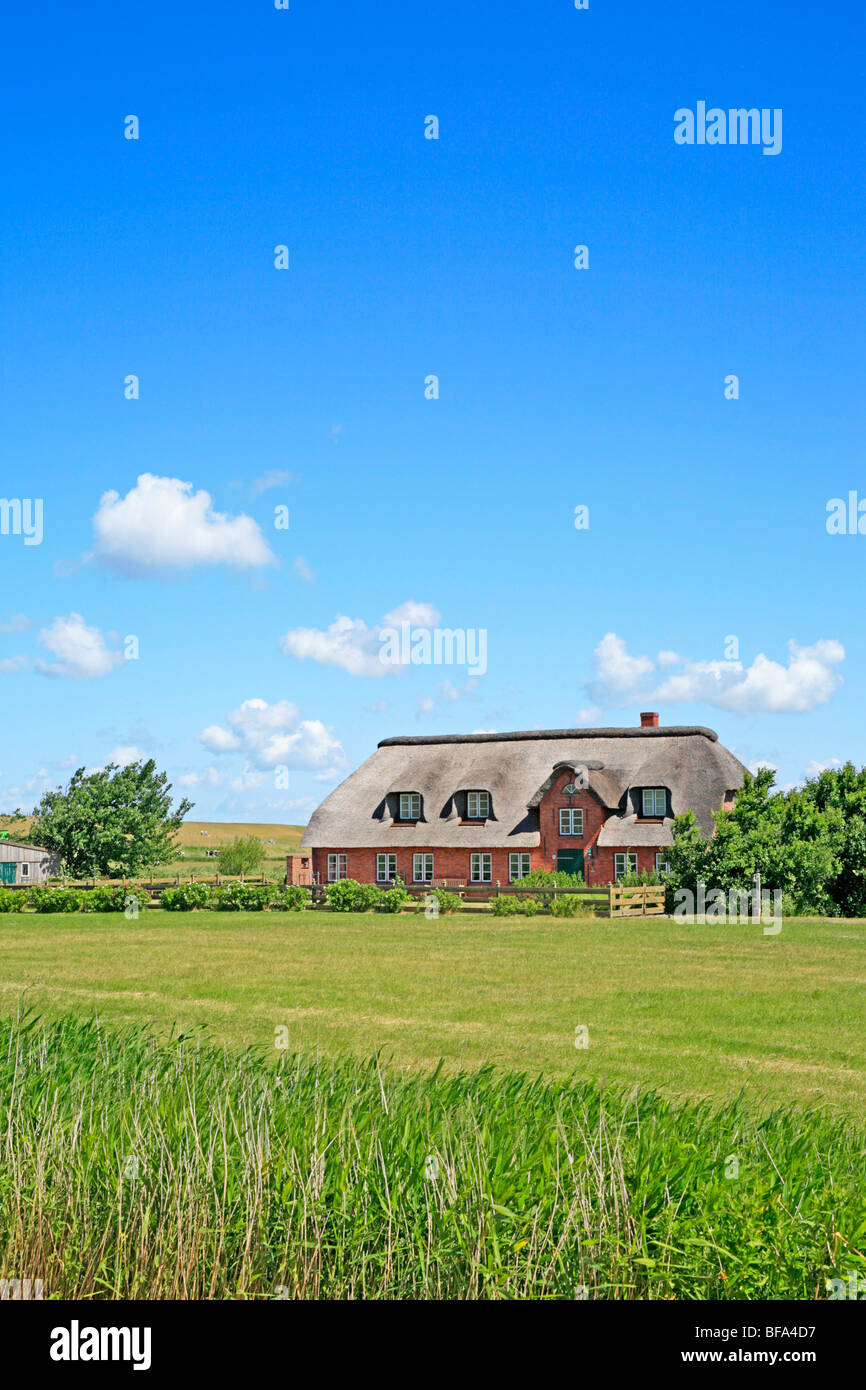 reetgedeckten Haus, Nordseeküste, Schleswig-Holstein, Norddeutschland Stockfoto