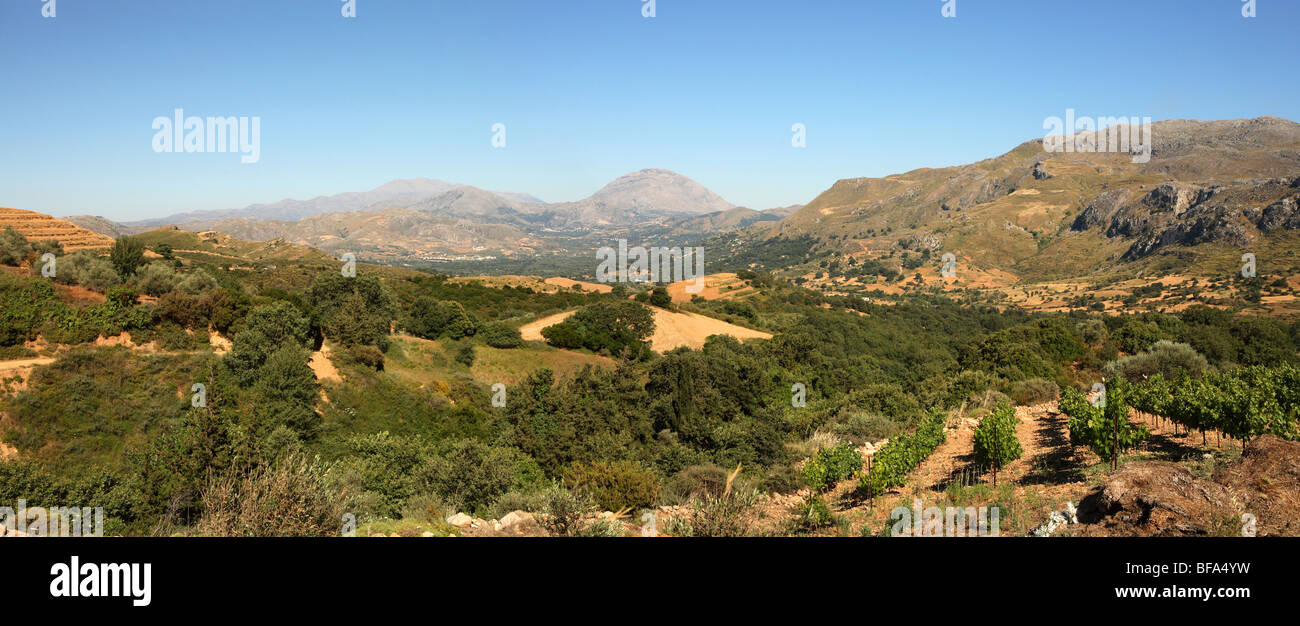 Blick über Zentralkreta, Blick nach Osten in Richtung montiert, Kedros und Psiloritis, südlich von Kato Malaki, mit einem Vinyard vor Stockfoto