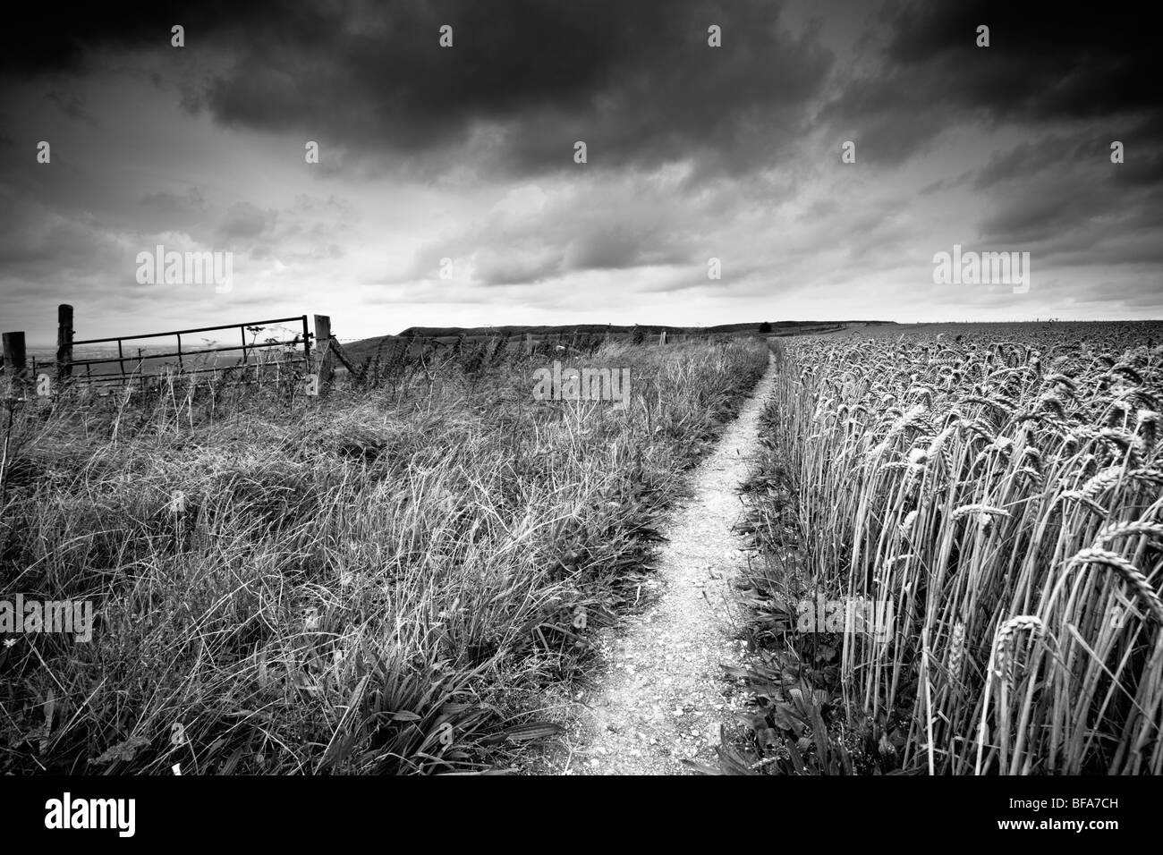 Schwarz / weiß-Blick auf die Spitze des White Horse Hill in Uffington, Oxfordshire, Vereinigtes Königreich Stockfoto