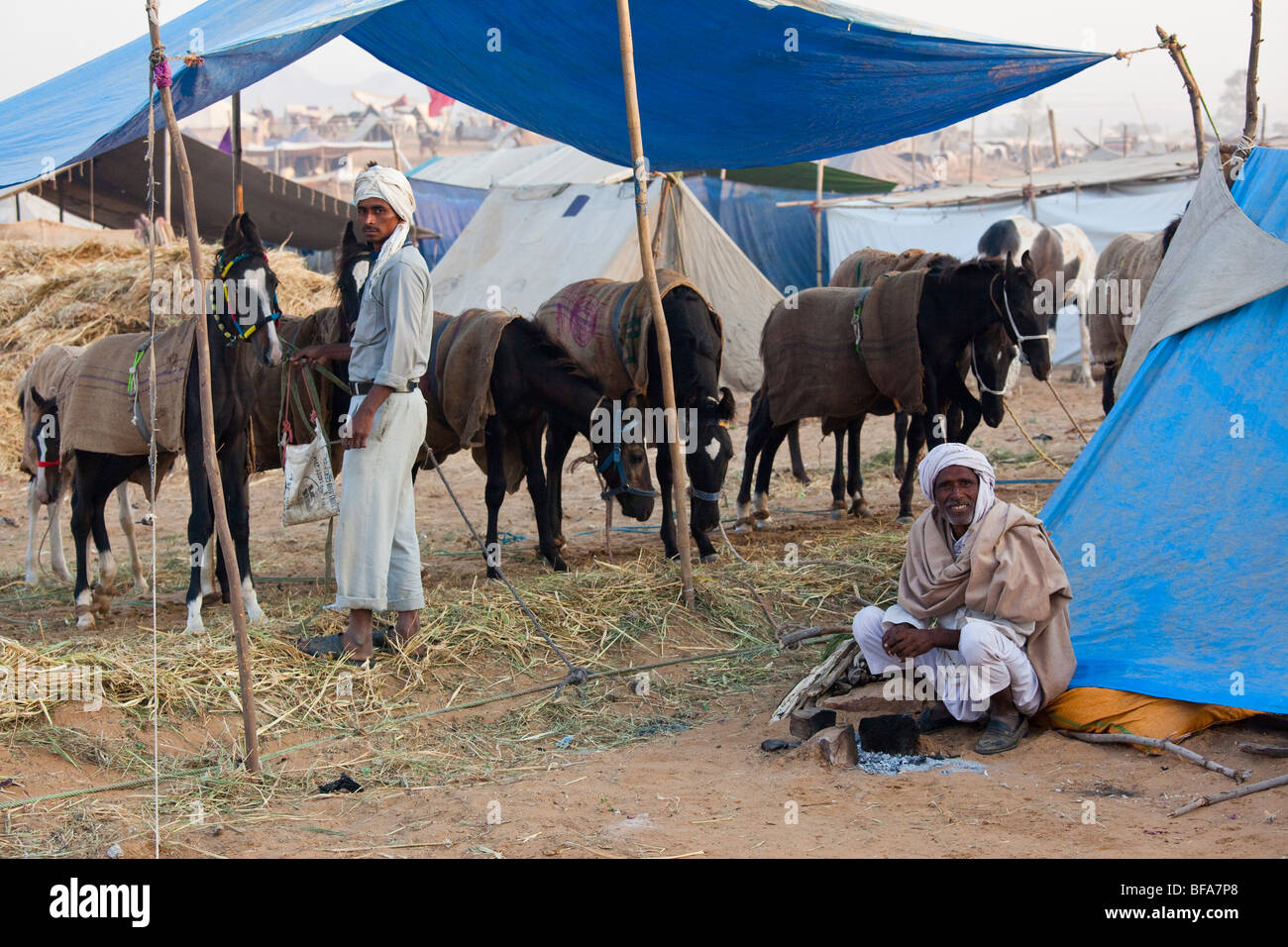 Rajput-Mann und sein Pferd auf der Camel Fair in Pushkar Indien Stockfoto