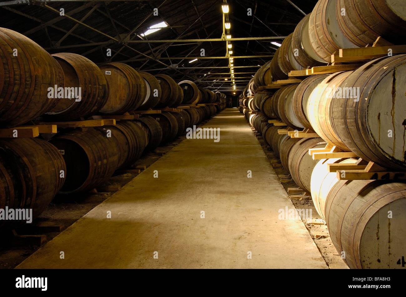 Glen Moray Whisky-Destillerie, Elgin. Moray. Aberdeenshire. Schottland. U.K. Stockfoto