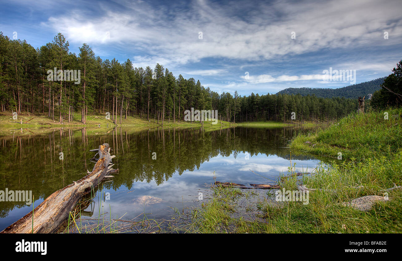 Custer-Park Stockfoto