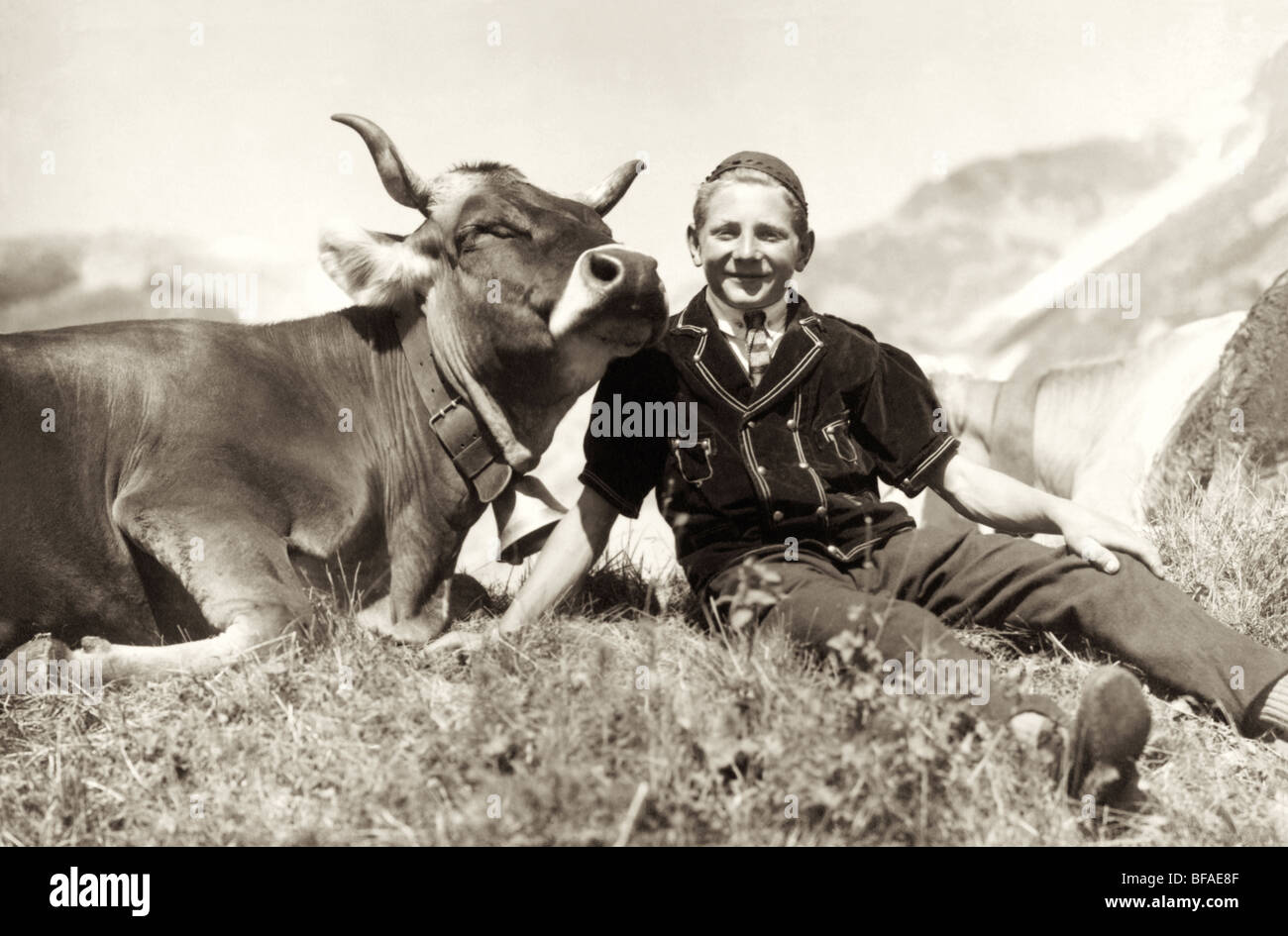 Teenager & Kuh in den Bergen Stockfoto