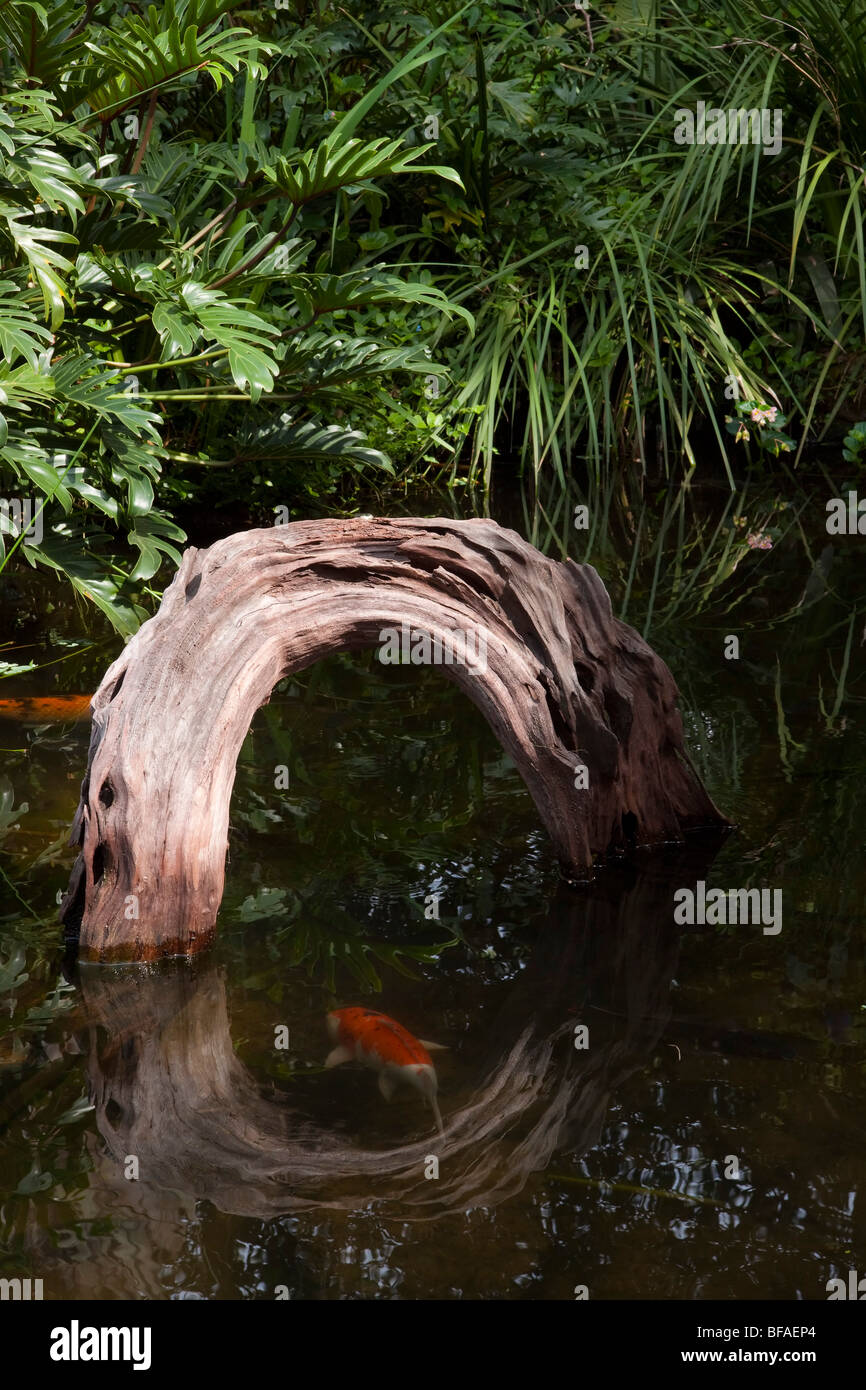 Grasreflexion im teich gefangen Fotos und Bildmaterial in hoher