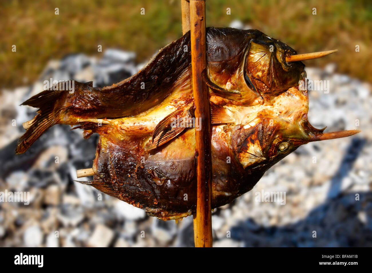 Karpfen werden auf traditionelle Weise über offene Flammen an Kaolcsa Paprika Festival Ungarn gekocht Stockfoto