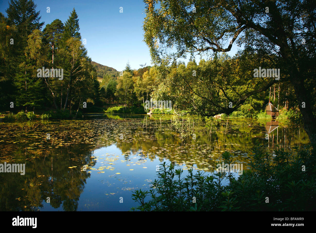 Loch Dunmore, Pitlorchy in der Nähe von Pitlochry, Perth und Kinross, Schottland, Großbritannien. Stockfoto