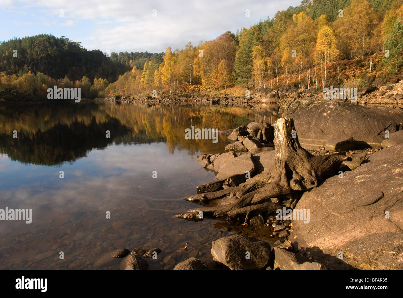 Herbst in Glen Affric, Schottland Stockfoto