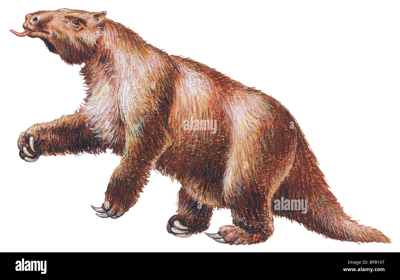 Megatherium Stockfoto