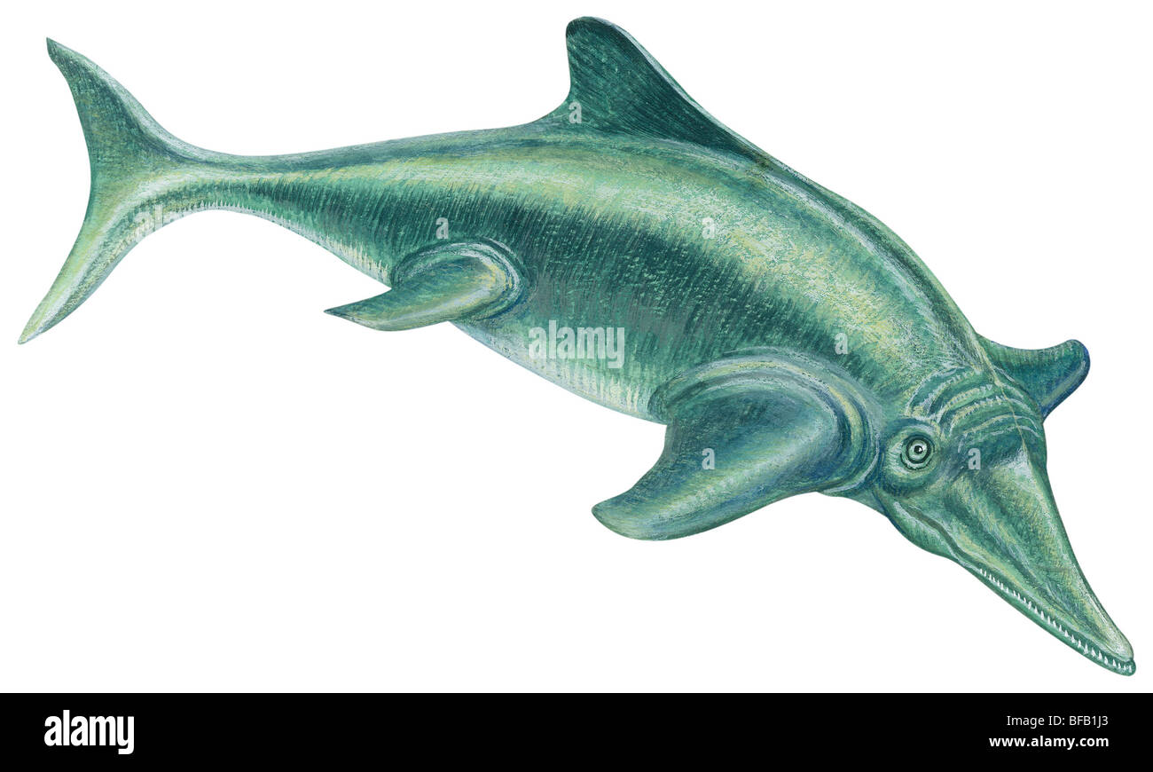 Ichthyosaurier Stockfoto
