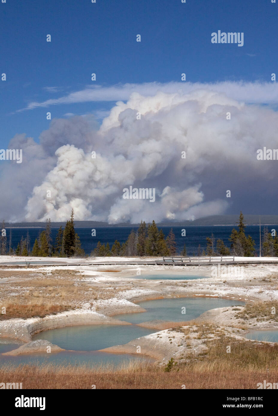 Rauchen von Waldbrand gesehen von Geysir-Becken, Yellowstone Stockfoto