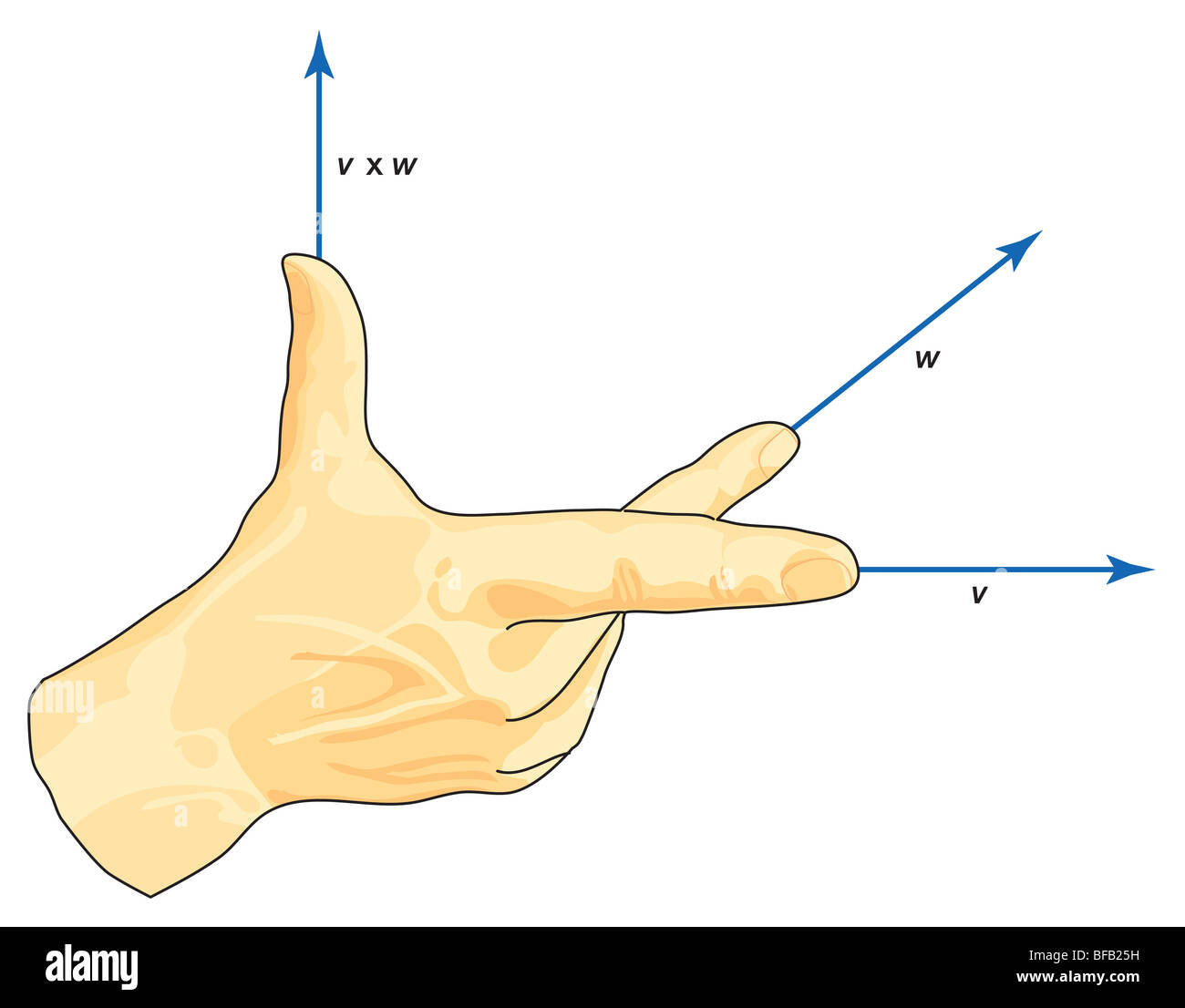 Vektor Rechte-Hand-Regel Stockfoto