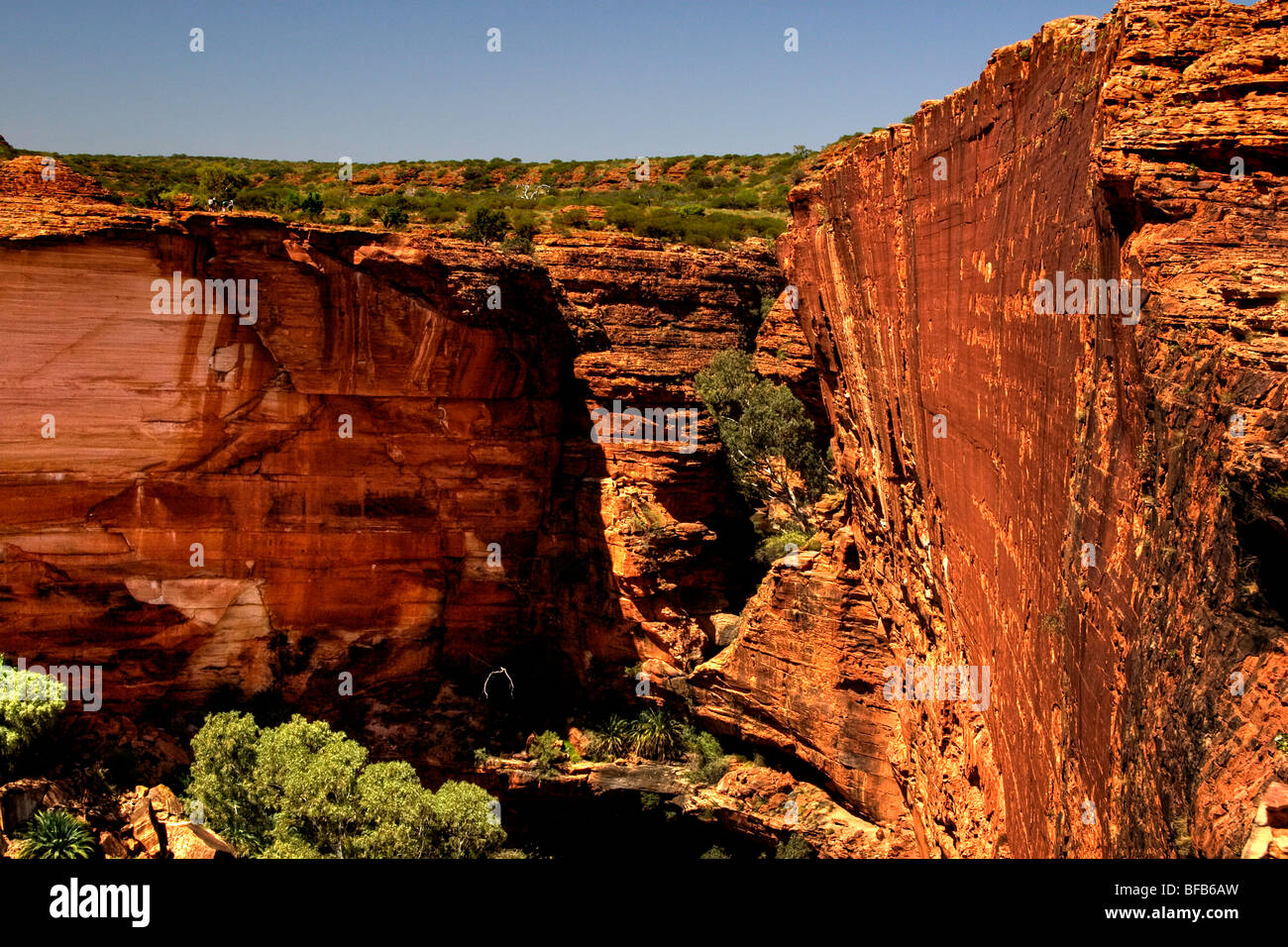 Blick ins Kings Canyon vom Rand Weg, Northern Territory, Australien Stockfoto