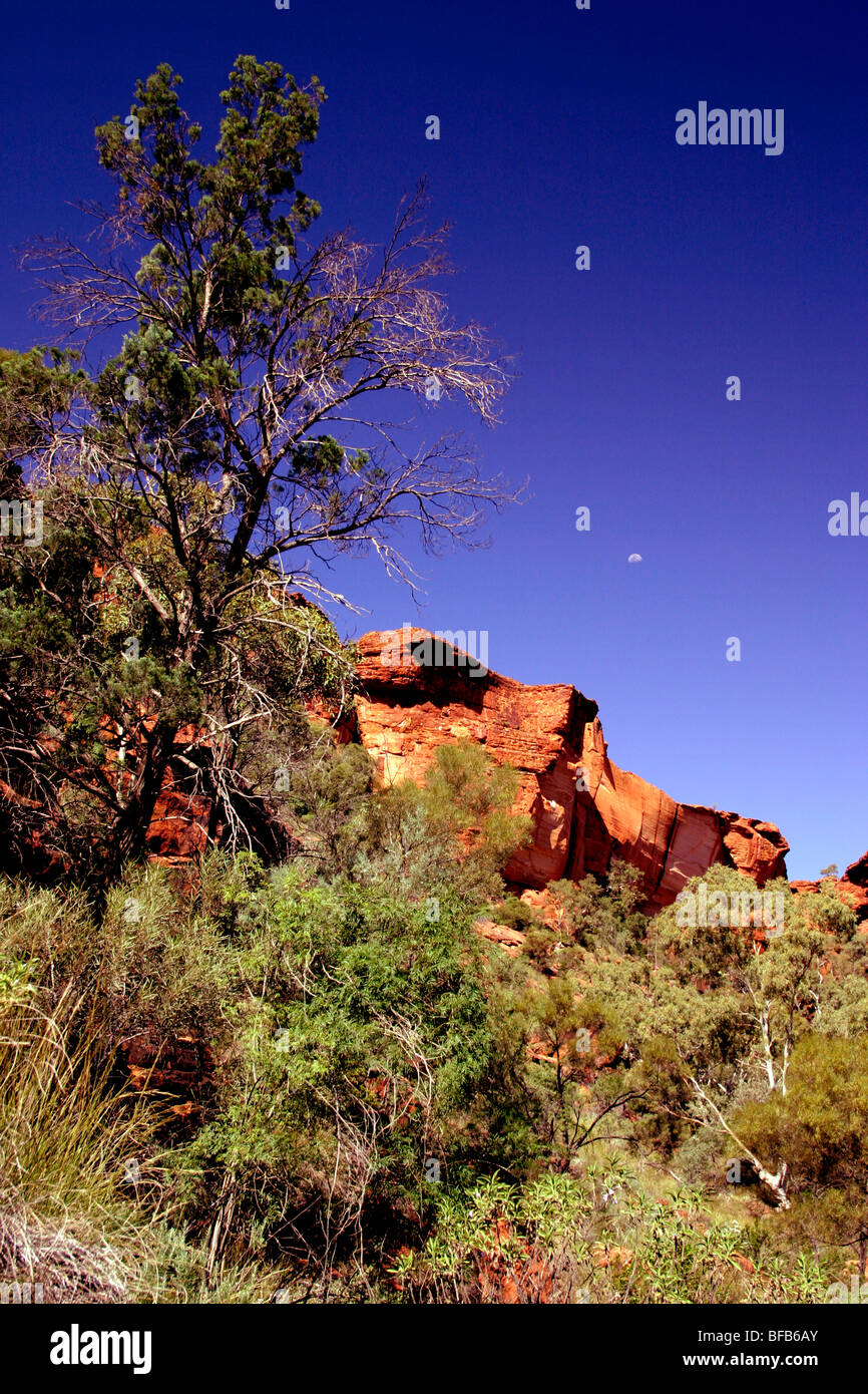 Mond steigt über Kings Canyon, Northern Territory, Australien Stockfoto