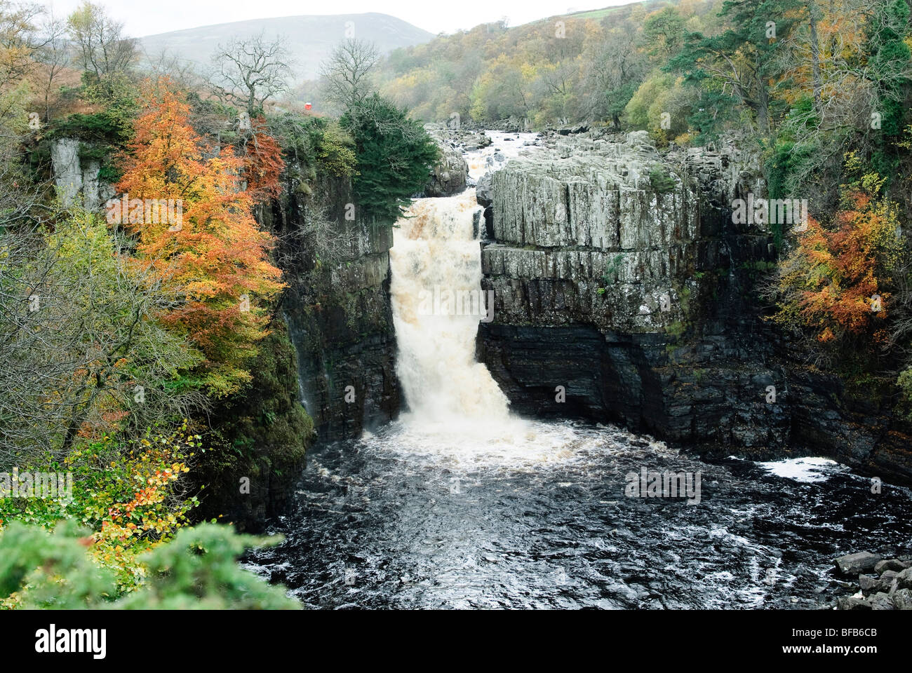 High Force Wasserfall im Herbst Stockfoto