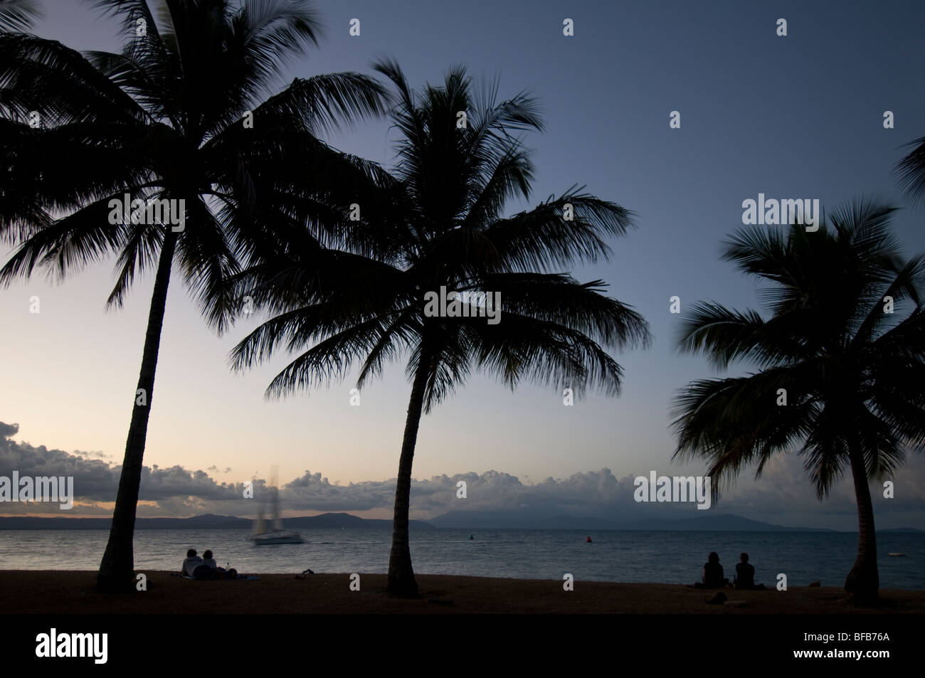 Urlaub, Ferien, weit, Norden, Queensland, Australien, Port Douglas, tropisch, klar, Sommer, Palmen Baum, Himmel, Sonnenuntergang Stockfoto