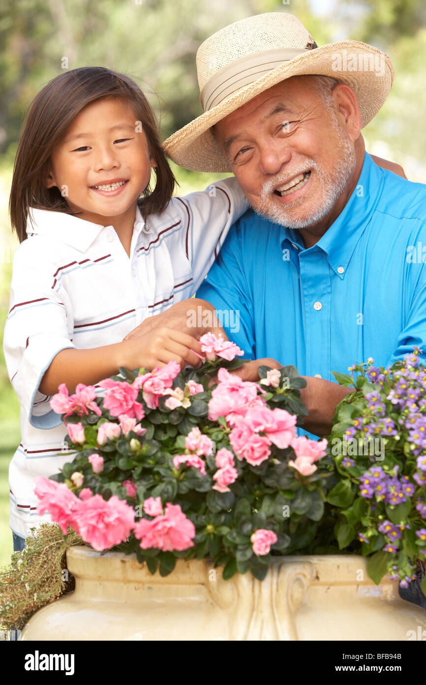Großvater und Enkelin Gartenarbeit zusammen Stockfoto