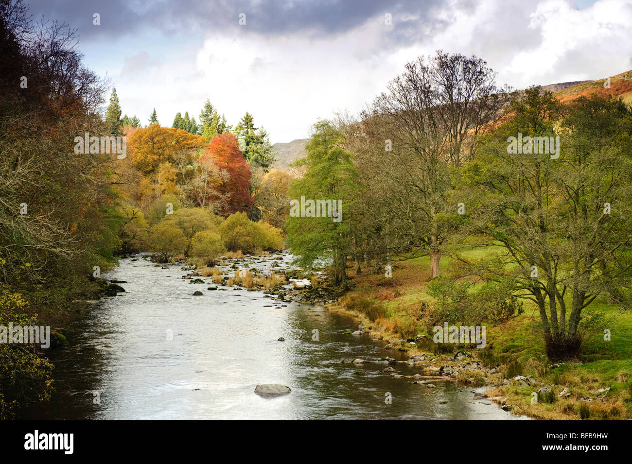 Herbstfarben im Wye River Valley in der Nähe von Rhayader, Oktober Nachmittag Mitte Wales UK Stockfoto