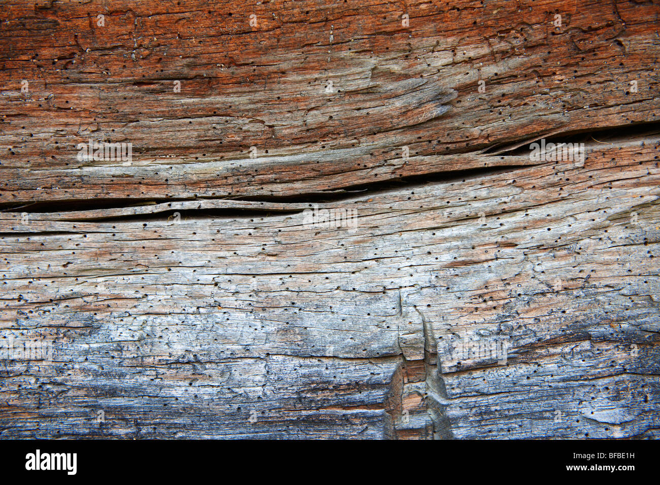 natürliche Texturen - alte verwitterte Holz texrure Stockfoto