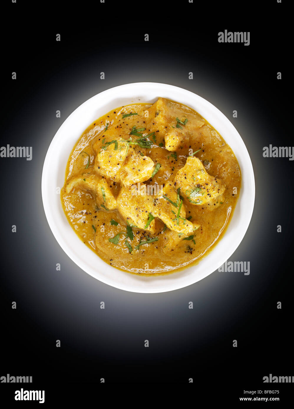 Chicken Korma mit Mandeln, Mohn, Cashew-Nüssen und chili Stockfoto