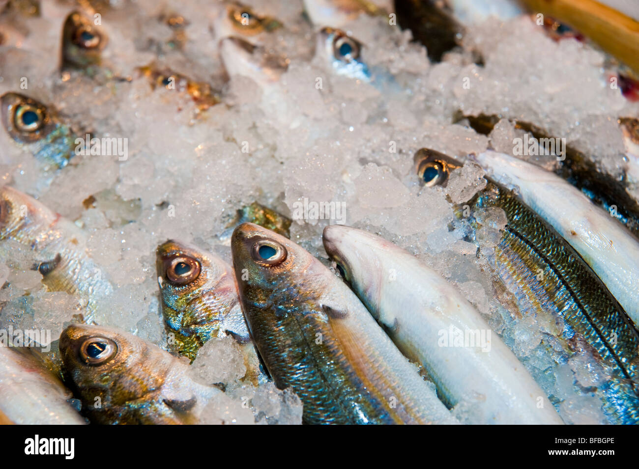 Frischer Fisch zum Verkauf auf Lebensmittelmarkt in Aegina Island, Griechenland Stockfoto