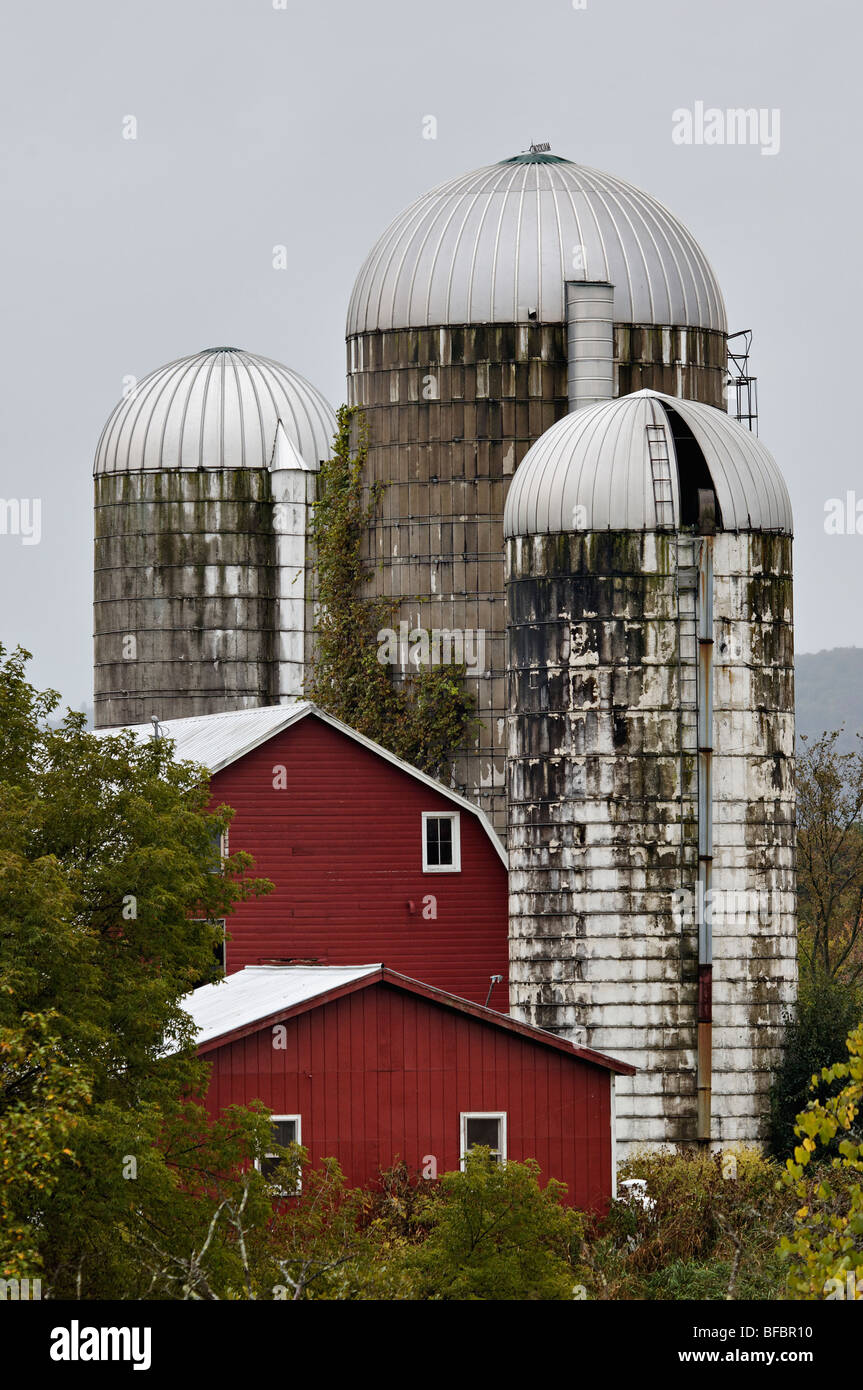 Rote Scheune und drei Silos in Rutland County, Vermont Stockfoto