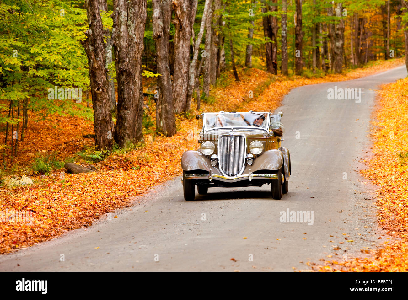 Der hintere Wald bereisen im Herbst in der Nähe von Woodstock Vermont USA Stockfoto