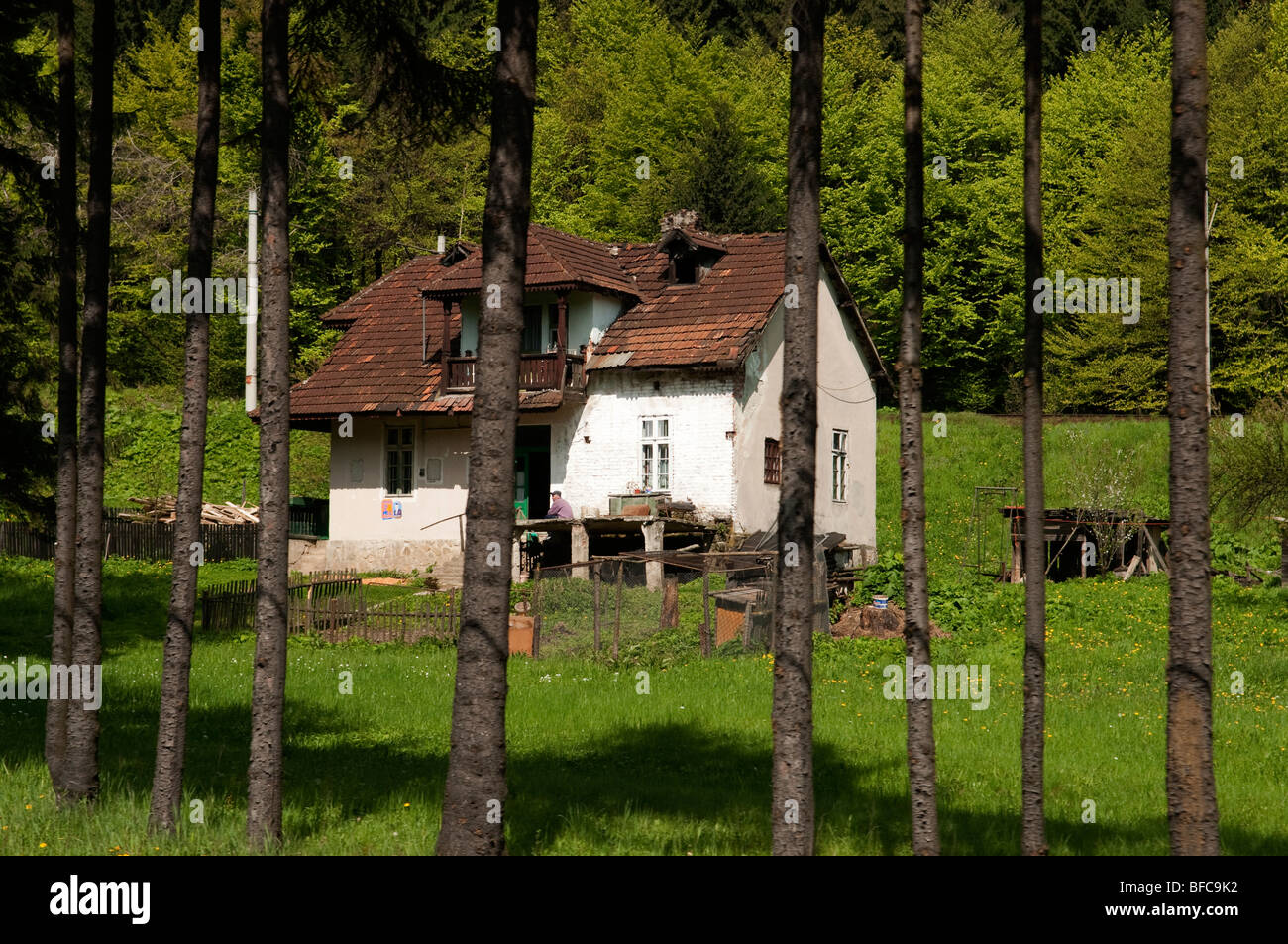 Traditionelle rumänische Haus im Wald in der Nähe von Brasov-Rumänien-Osteuropa Stockfoto