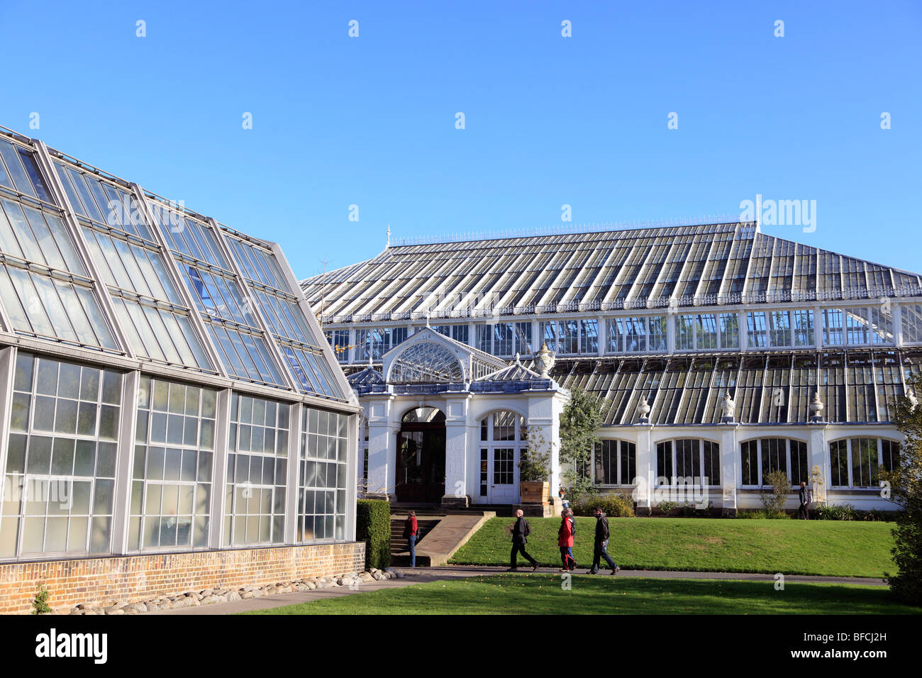 Vereinigtes Königreich West London Kew Gärten der gemäßigte Haus Stockfoto