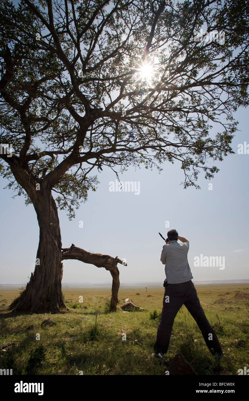 Fotografen unter Bild - Masai Mara National Reserve, Kenia Stockfoto