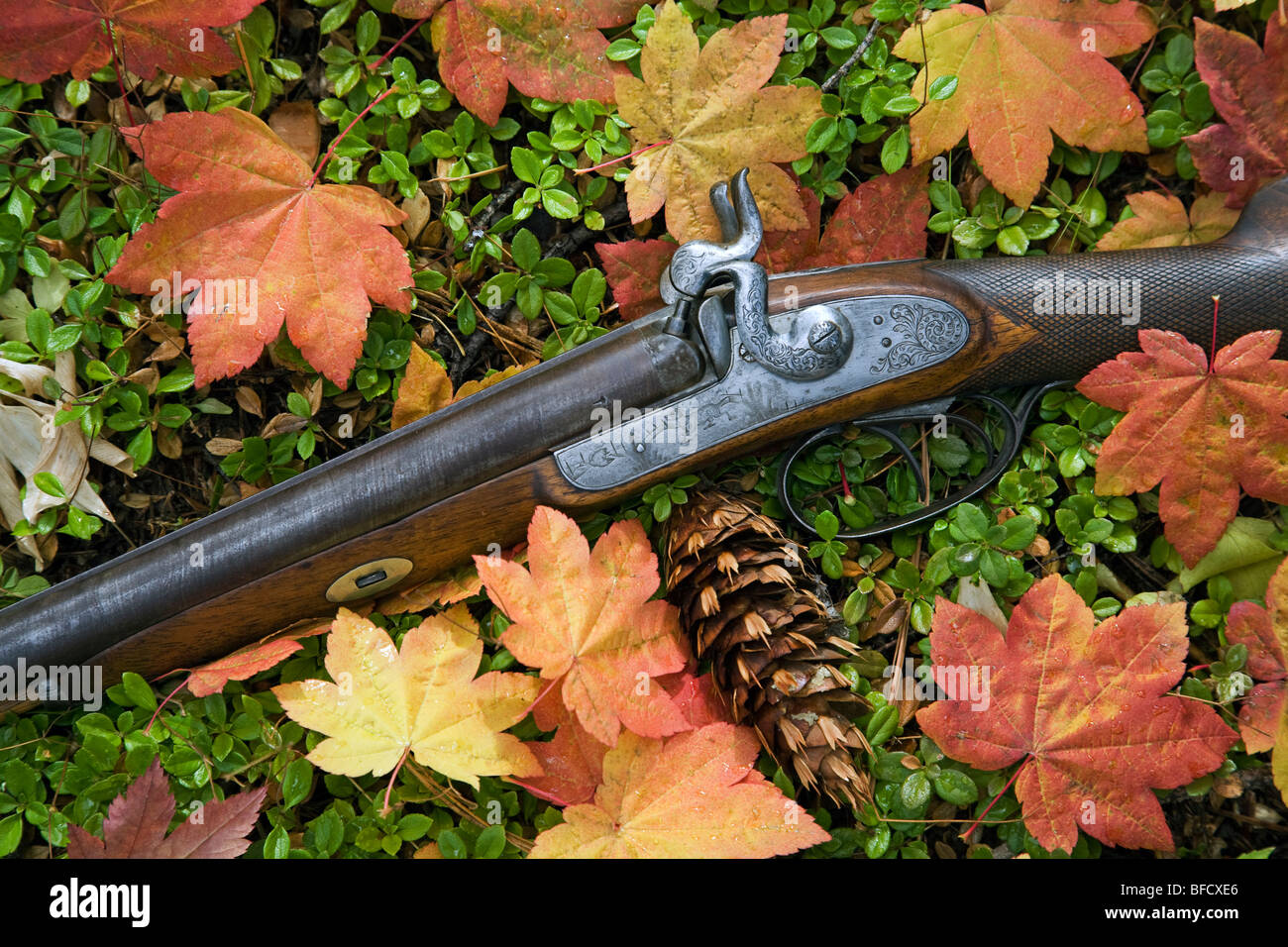 Ein 1860 doppelte barreled antike Mündung laden 17 Schrotflinte mit Damaskus Fässer Stockfoto
