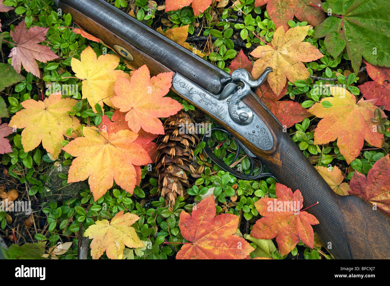 Ein 1860 doppelte barreled antike Mündung laden 17 Schrotflinte mit Damaskus Fässer Stockfoto