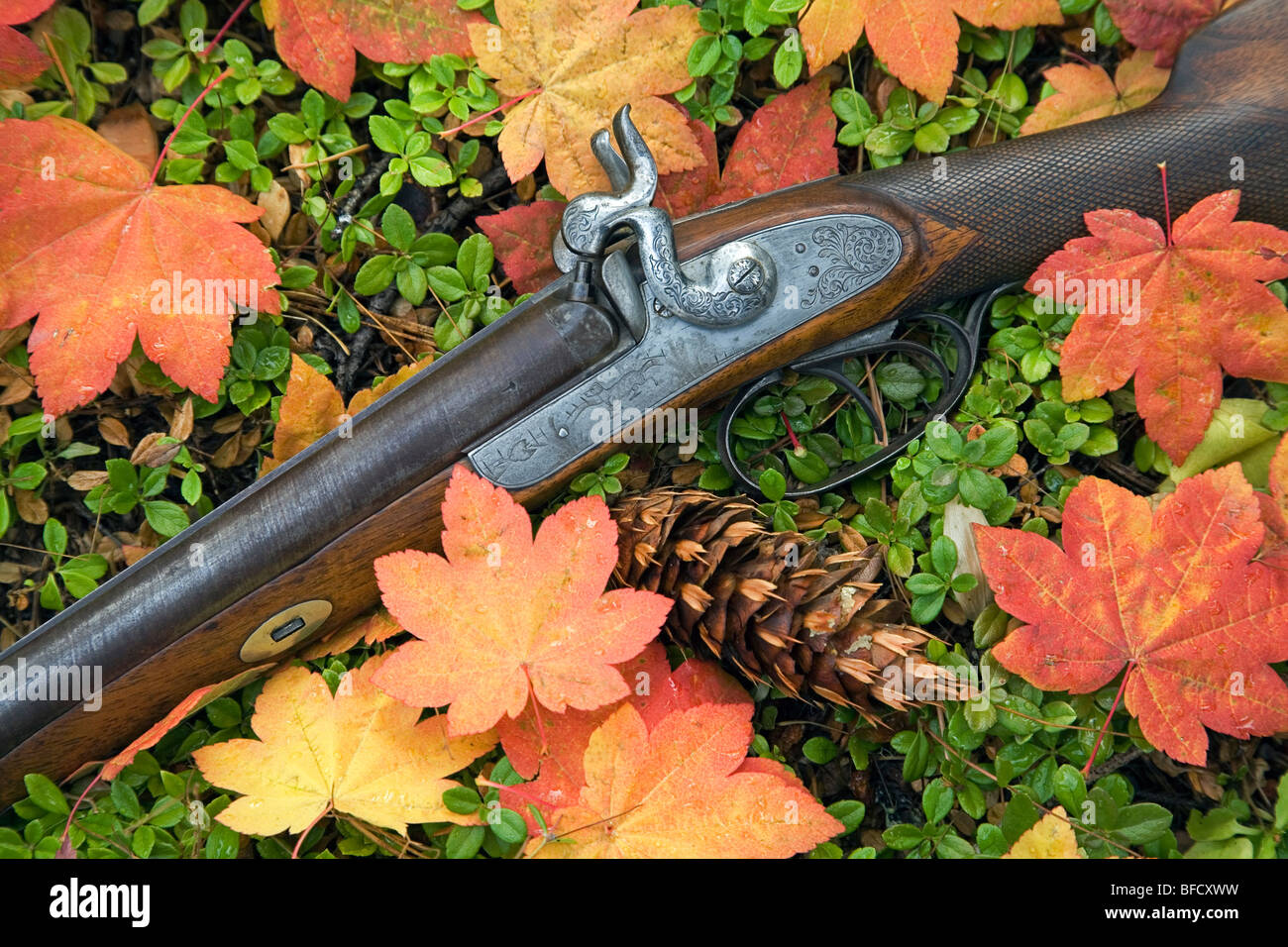 Antike Schnauze Lader Steinschloss Gewehr Schrotflinte im Herbst Blätter Stockfoto