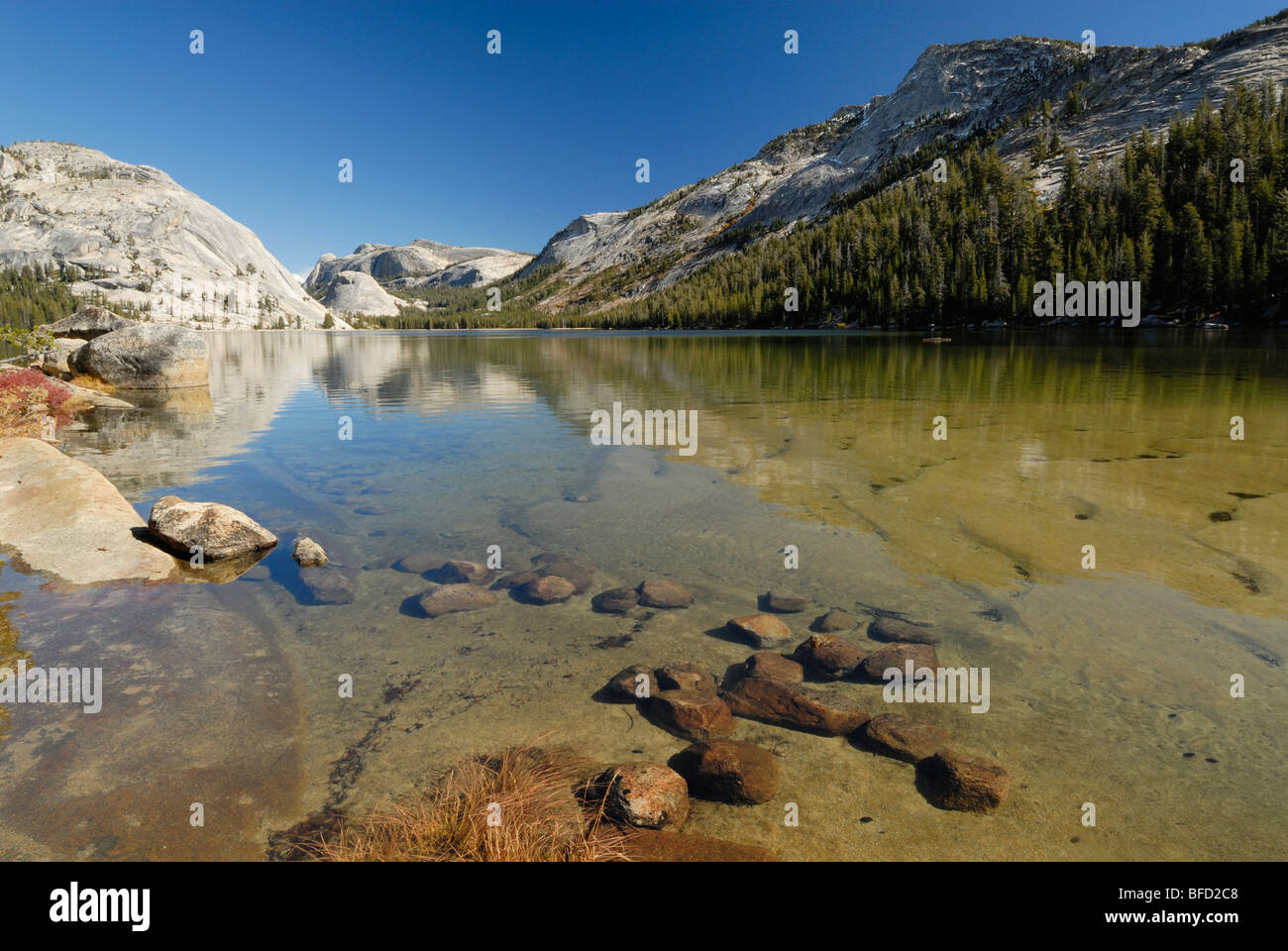 Tenaya See im Yosemite-Nationalpark, Kalifornien Stockfoto