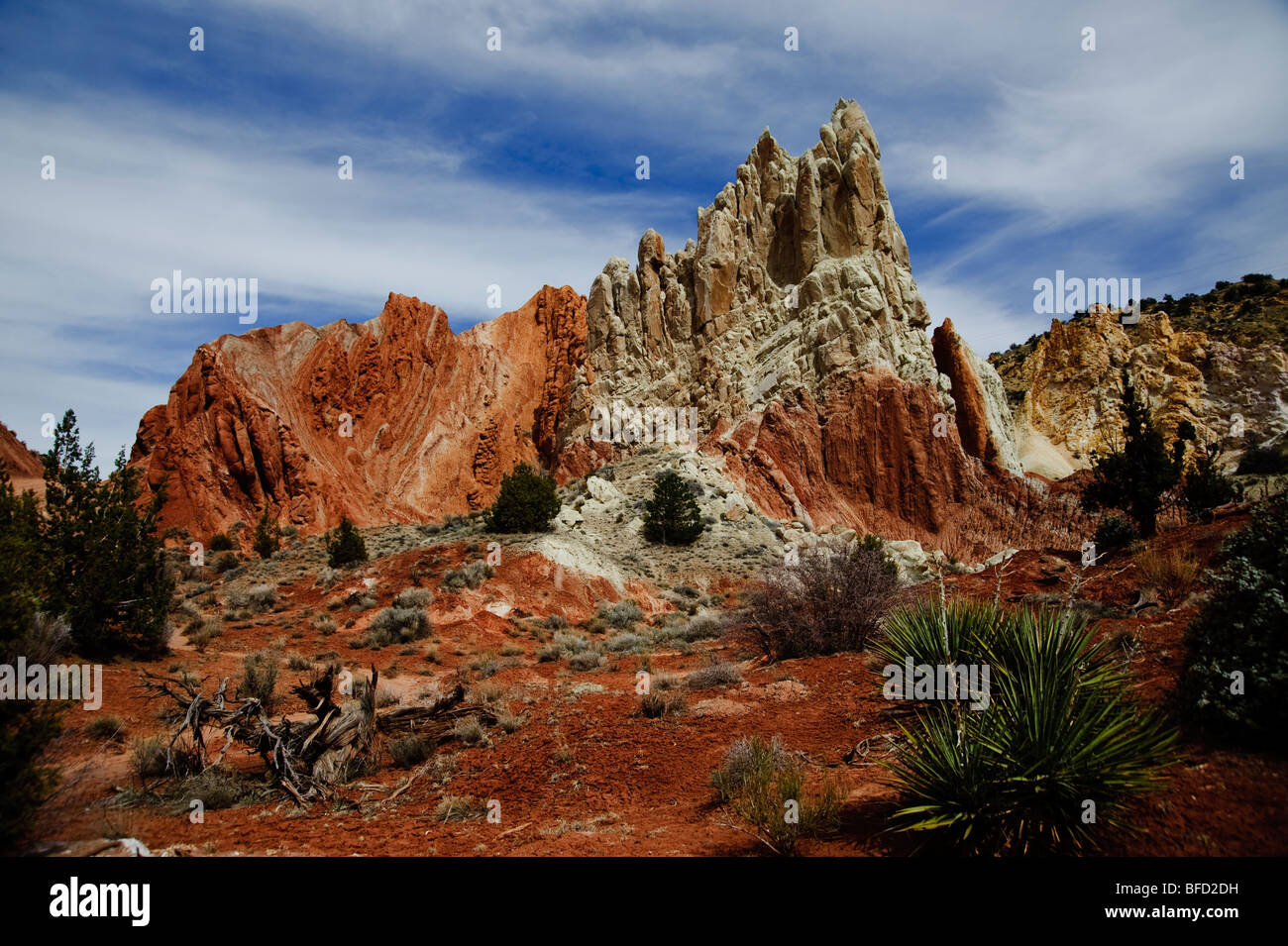 Red Rock Erosion erstellt Muster.  Cottonwood Canyon Road Stockfoto