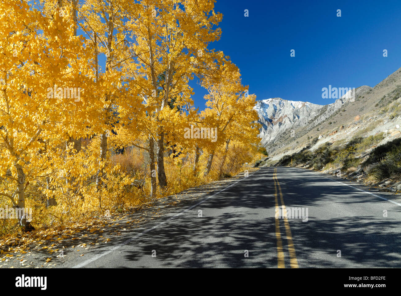 Herbstliche Aussicht auf Sträfling See im östlichen Berge der Sierra Nevada (Kalifornien, USA) Stockfoto