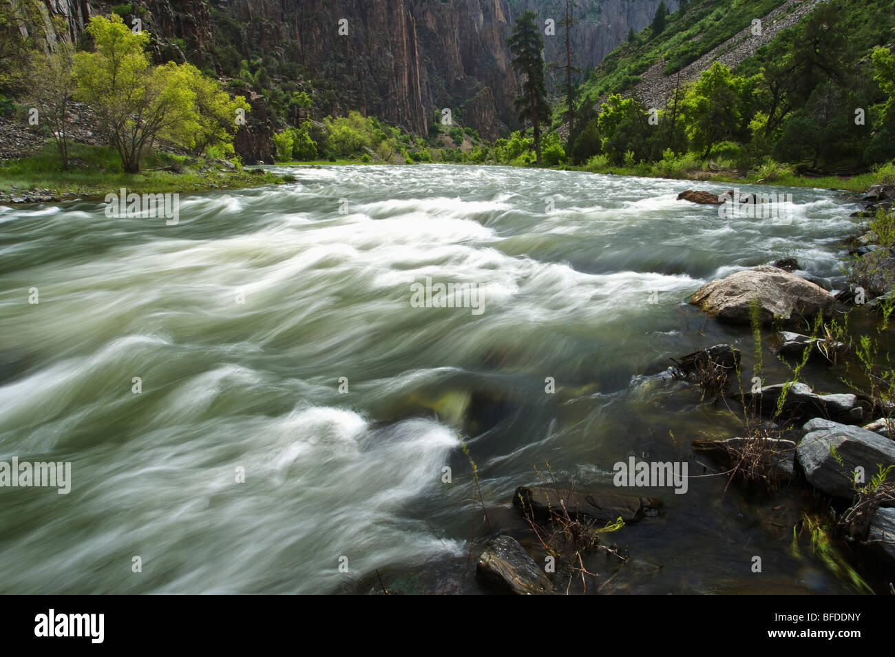 Der Gunnison River im Black Canyon Schlucht, Colorado. (Bewegungsunschärfe) Stockfoto