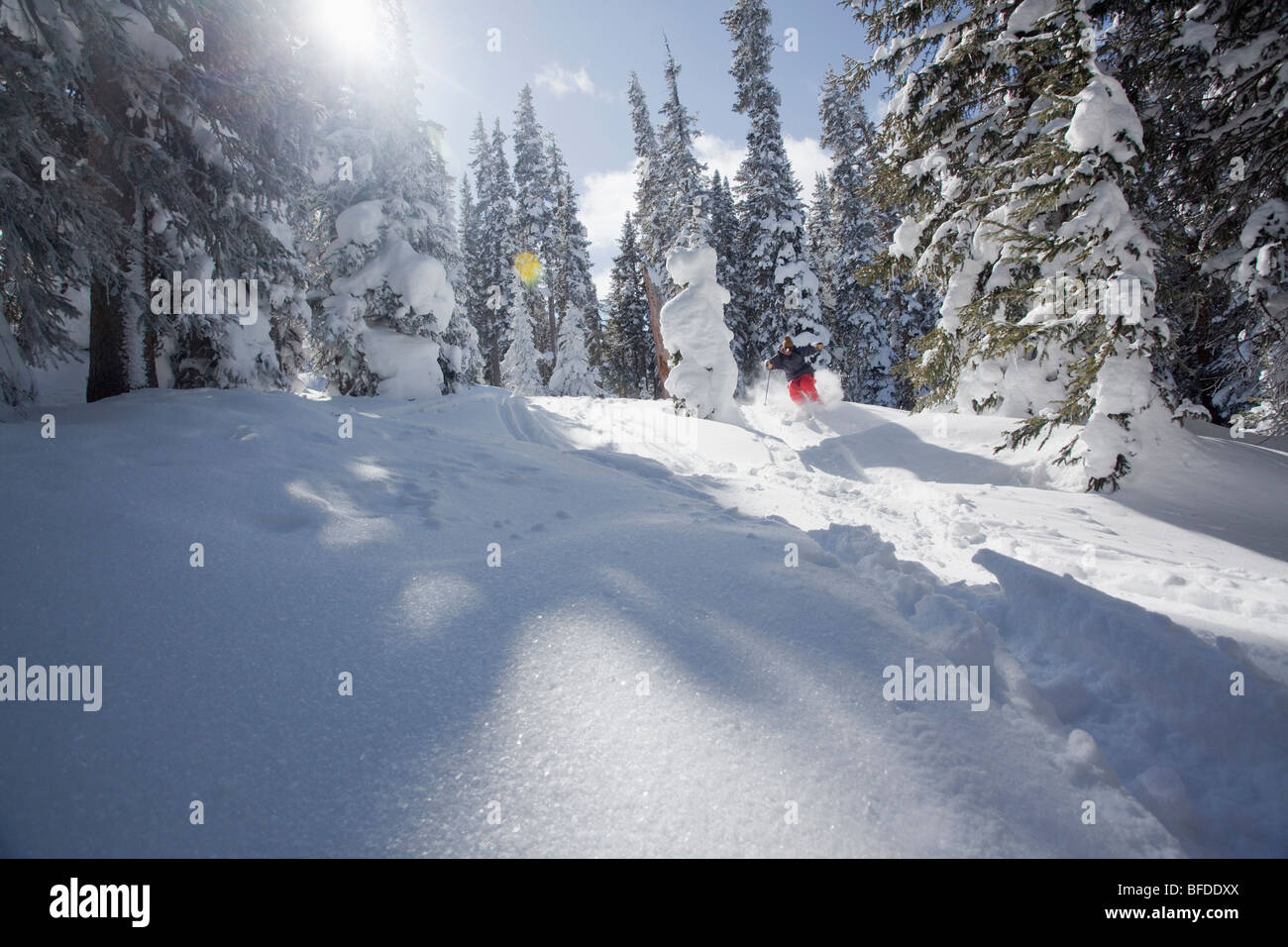 Ein hinterleuchtete Skifahrer fliegt durch die Bäume in Vail, Colorado. Stockfoto