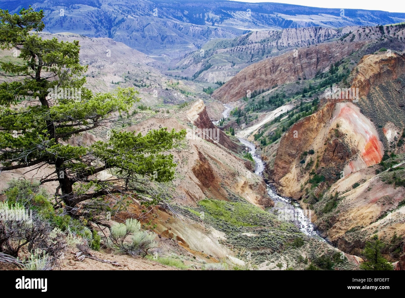 Churn Creek Canyon geschützten Bereich, British Columbia, Kanada Stockfoto
