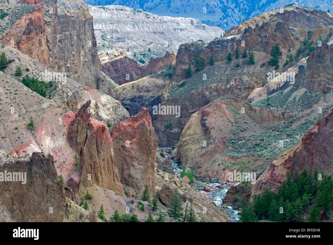 Churn Creek Canyon geschützten Bereich, British Columbia, Kanada Stockfoto