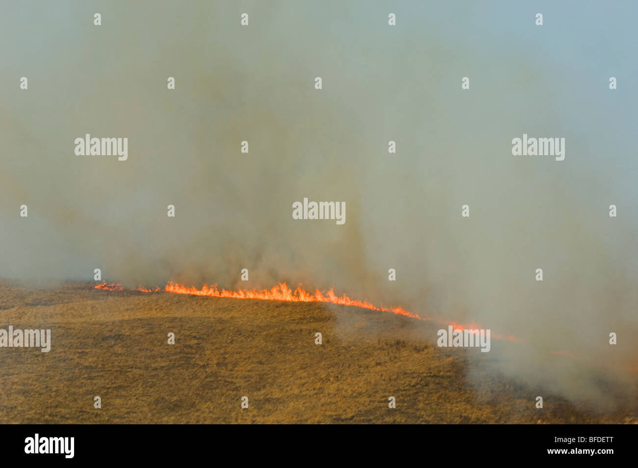 Luftaufnahme des Präriegras Feuer Alberta Kanada... Getrocknete Winter Grass entzündet sich leicht und schnell durch Wind angefacht breitet sich auf p Stockfoto