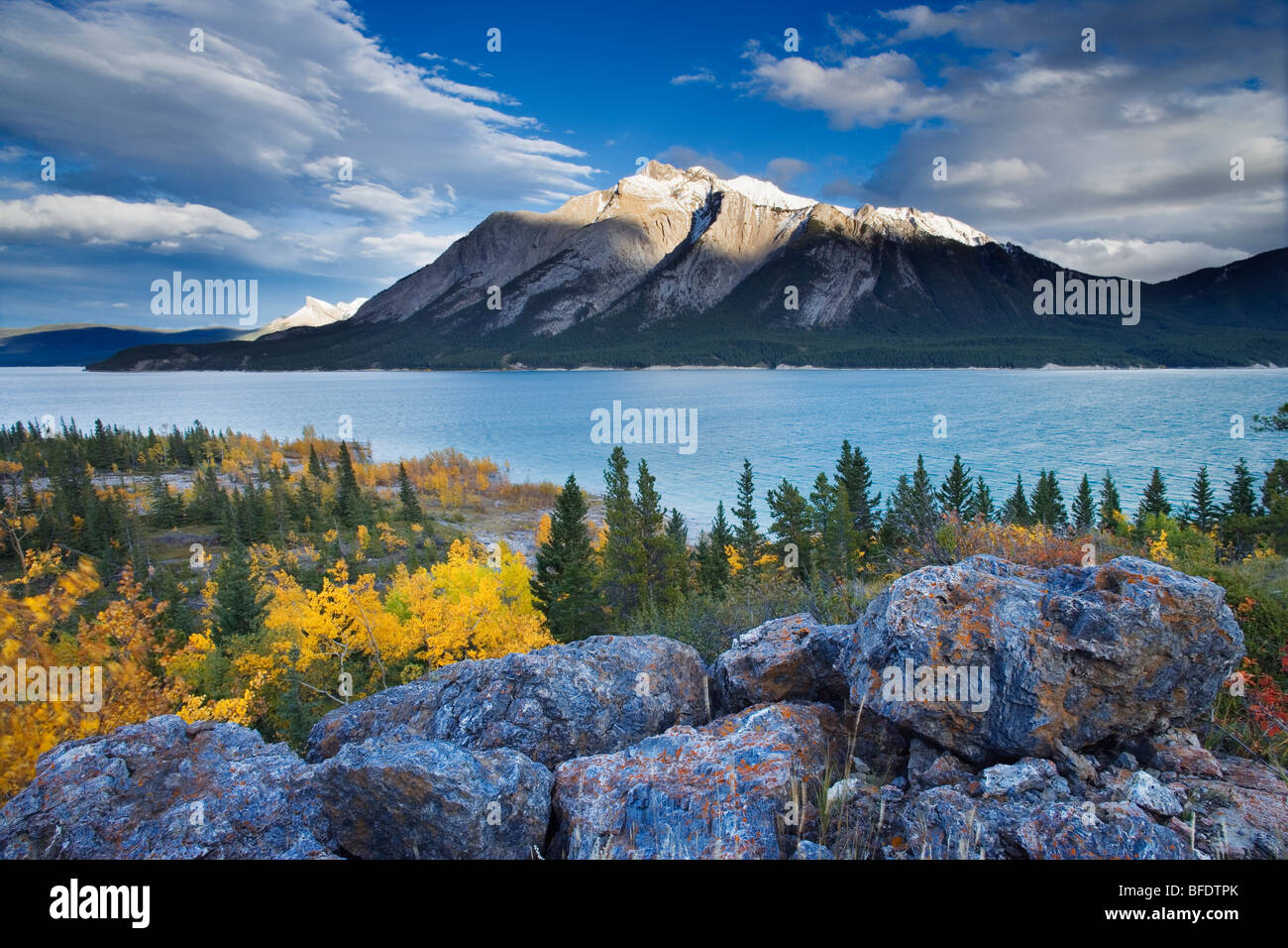 See-Abraham und Mount Michener, Kootenay Plains, Alberta, Kanada Stockfoto