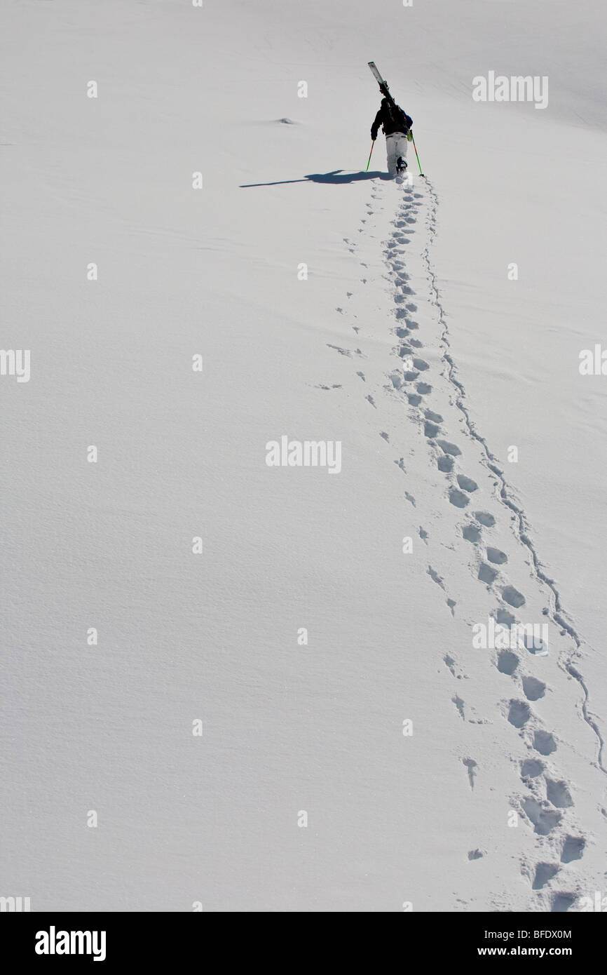 Ein Skifahrer Uptracking Chester See, Kananaskis, Alberta, Kanada Stockfoto