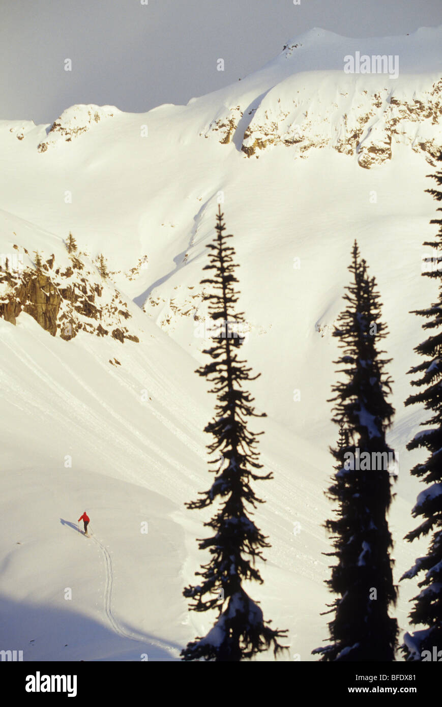 Ein Skifahrer Uptracking zu höheren Boden im Hinterland in der nördlichen Selkirk, Britisch-Kolumbien, Kanada Stockfoto
