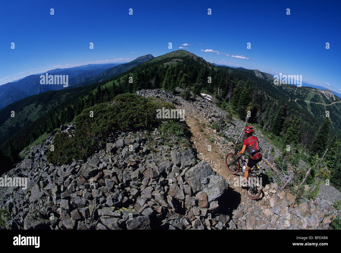 Eine Frau mit ihrem Mountainbike genießen der sieben Gipfelrundweg in Rossland, British Columbia, Kanada Stockfoto