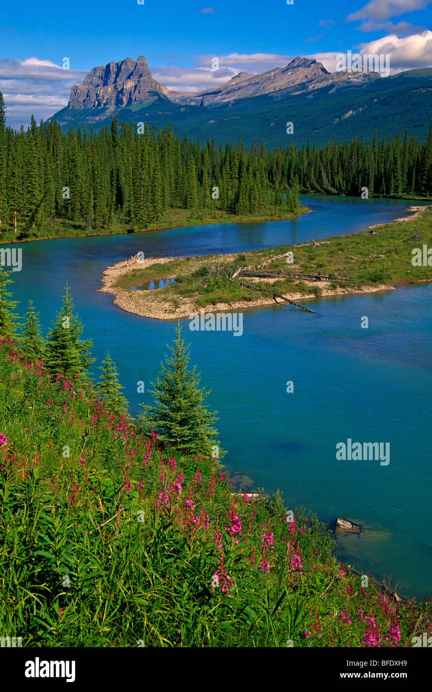 Schlossberg und Bow River, Banff Nationalpark, Alberta, Kanada Stockfoto