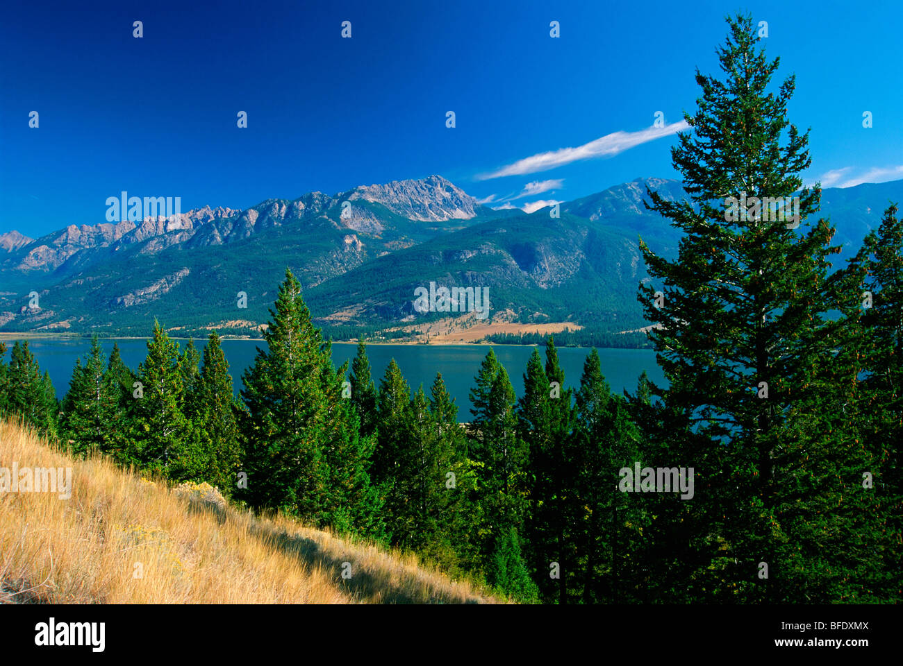 Columbia Lake mit kanadischen Rocky Mountains im Hintergrund, in der Nähe von Canal Flats, Britisch-Kolumbien, Kanada Stockfoto